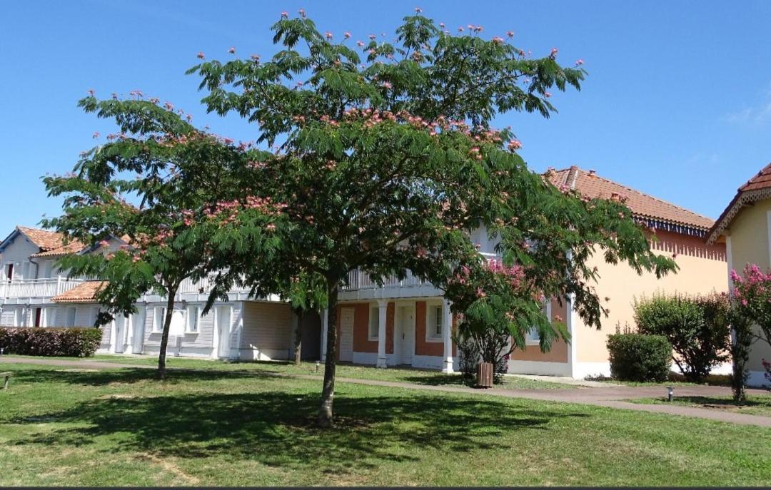 Appartement Au Calme Face Au Lac Marciac Eksteriør bilde